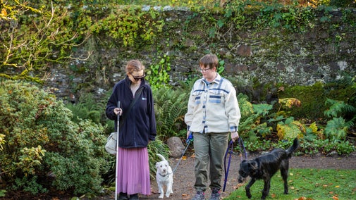 Visitors walking their dogs in the walled garden